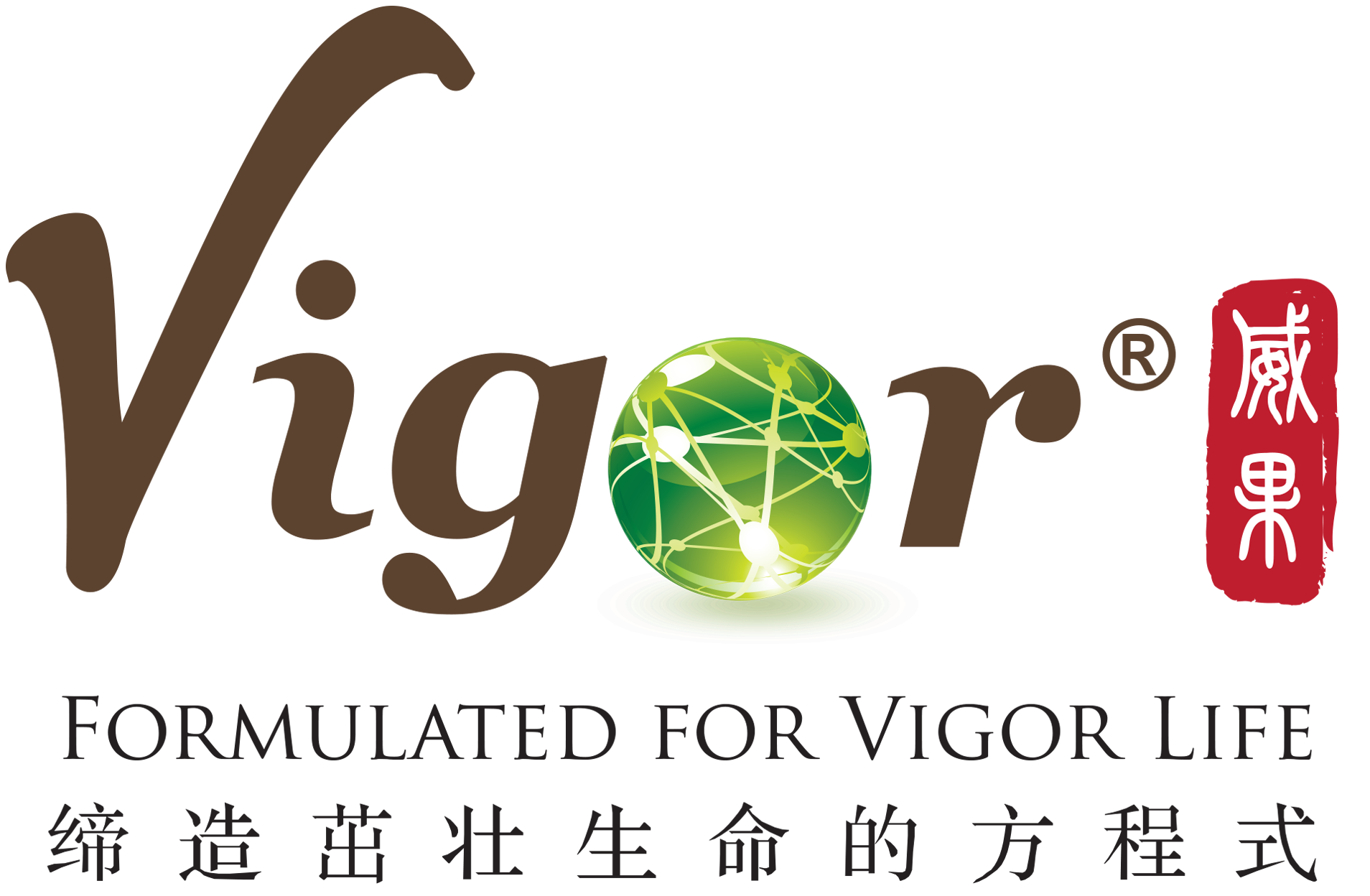 VIGOR LOGO